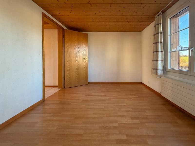Two-family house on a large plot (26)