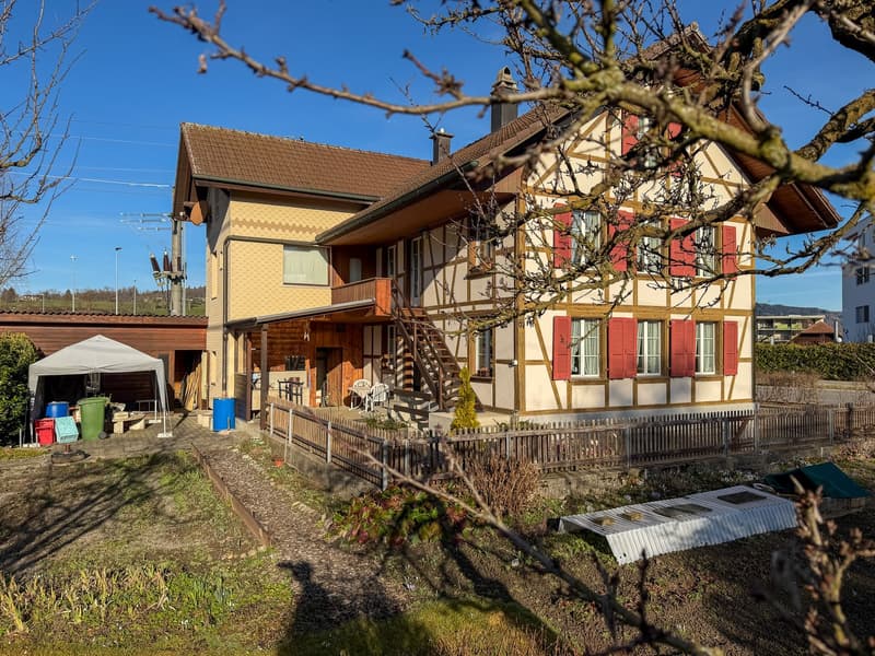 Two-family house on a large plot (8)