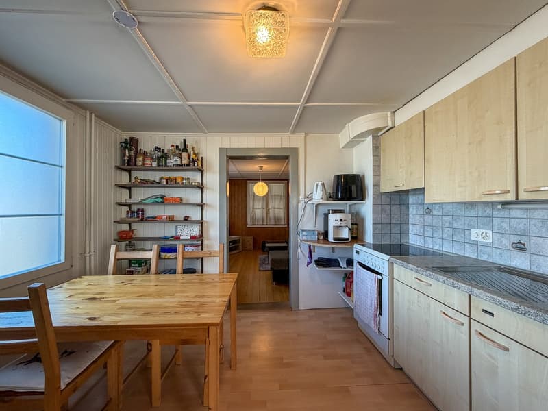 Two-family house on a large plot (40)