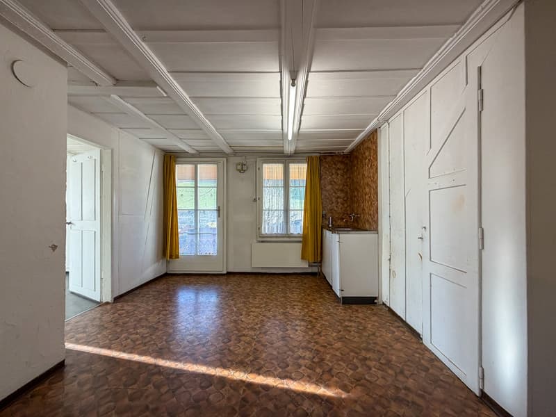 Two-family house on a large plot (24)