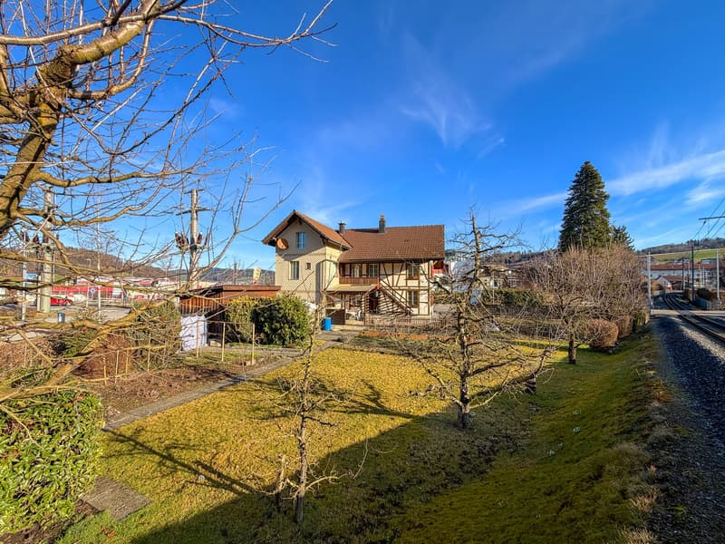 Two-family house on a large plot (6)