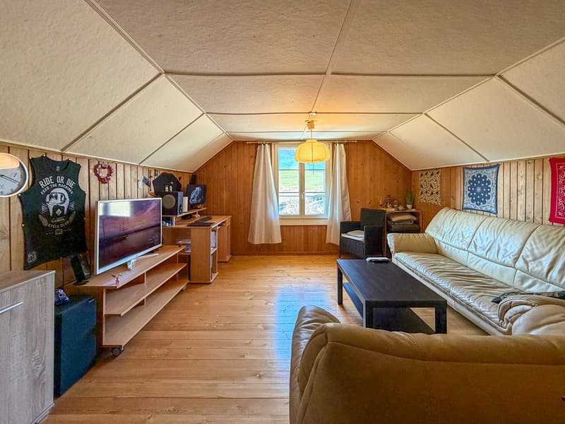 Two-family house on a large plot (34)