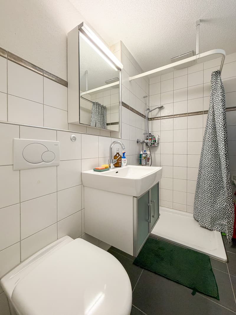 Beautiful garden apartment, Aarematte Herrenschwanden (10)
