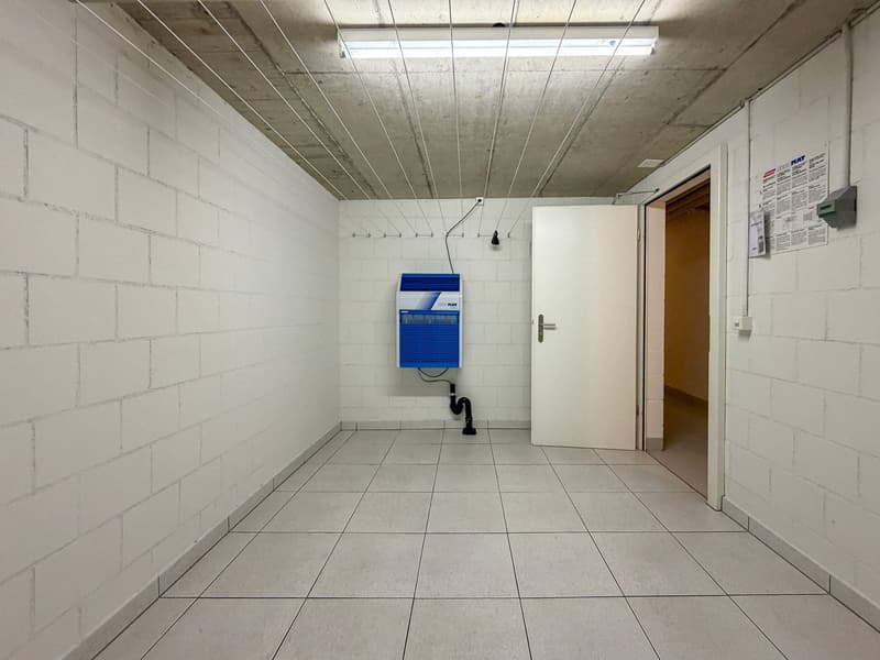 Beautiful garden apartment, Aarematte Herrenschwanden (15)