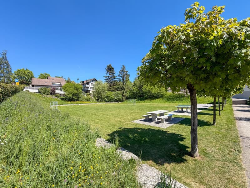 Beautiful garden apartment, Aarematte Herrenschwanden (12)
