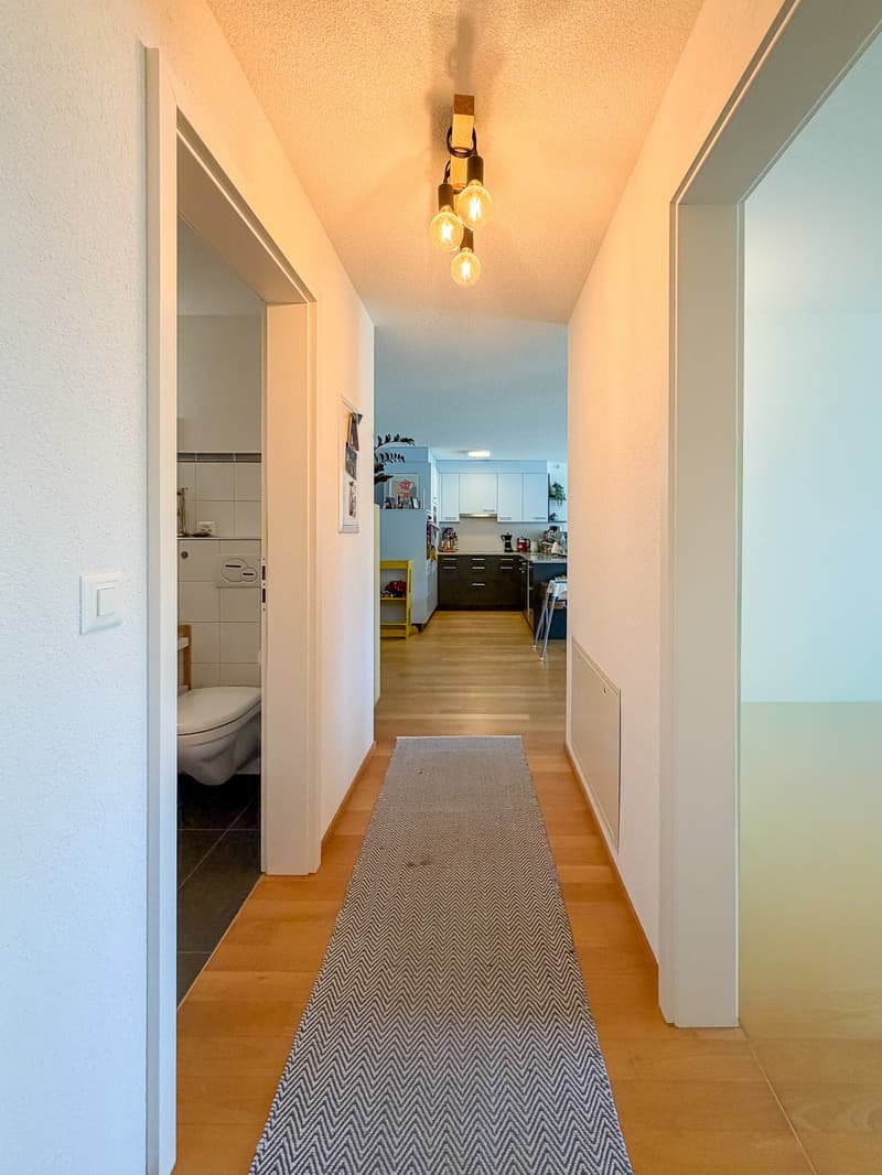 Beautiful garden apartment, Aarematte Herrenschwanden (11)