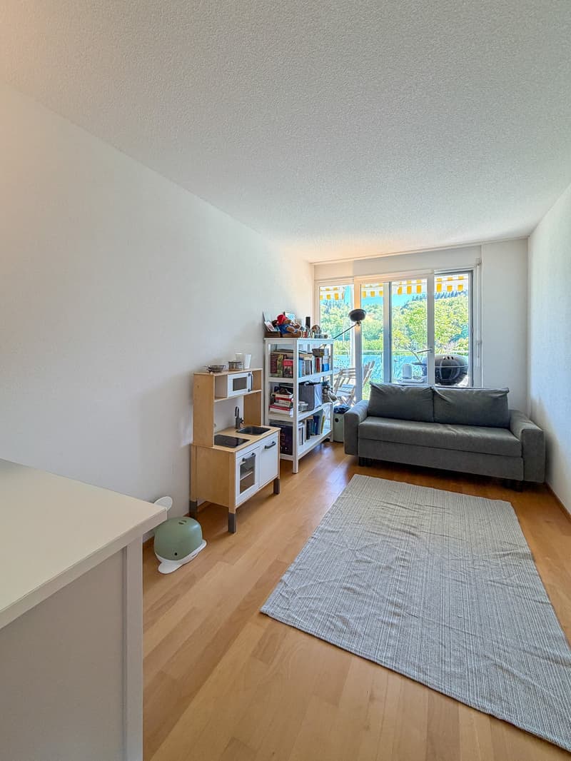 Beautiful garden apartment, Aarematte Herrenschwanden (7)