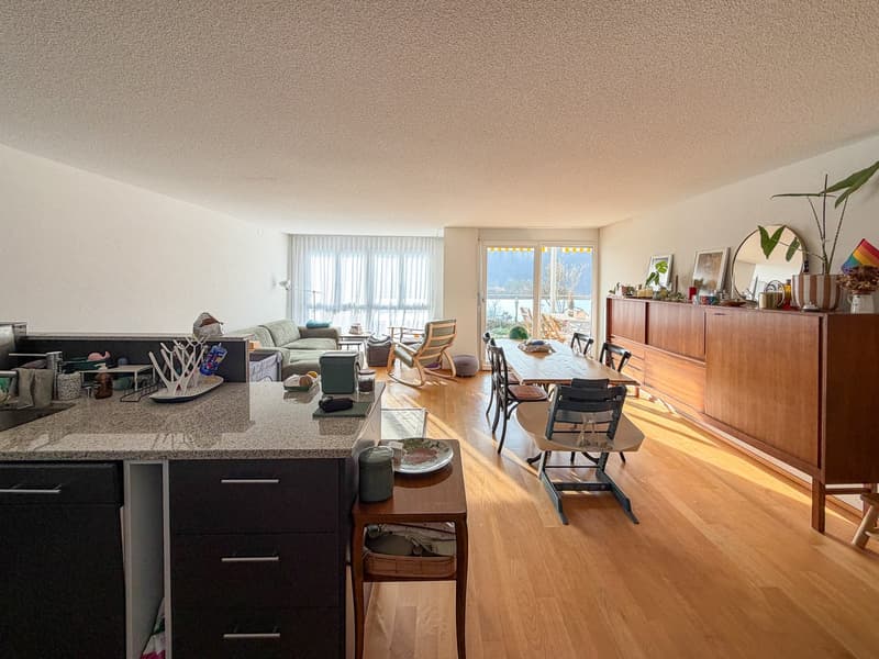 Beautiful garden apartment, Aarematte Herrenschwanden (5)