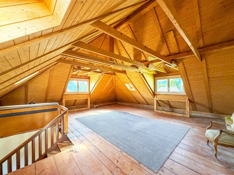 Bella casa indipendente con giardino, Elfenau Bern (27)