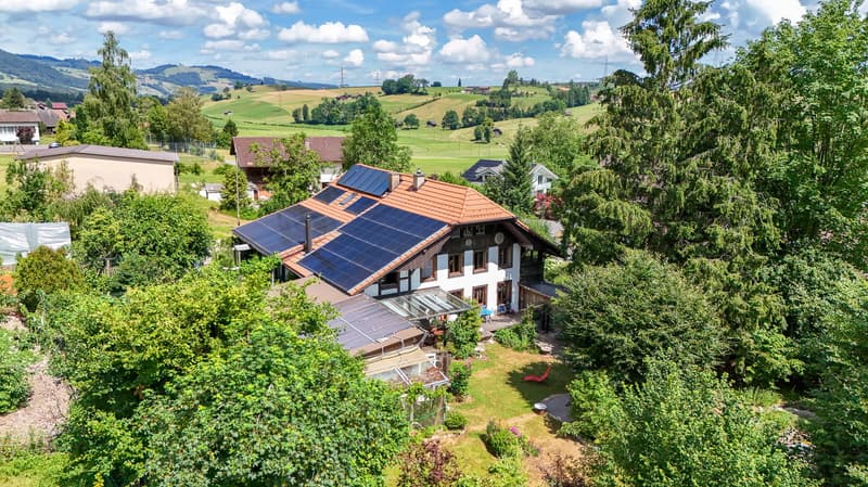 Zweiparteienhaus mit Atelier, Grundstück mit grossem Ausbaupotential (1)