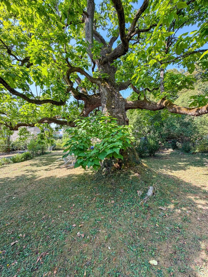 Eigenheim mit Balkon und Garten, Murifeld Bern (23)