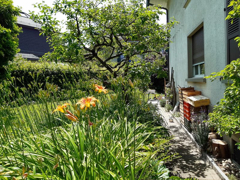 Zwei Eigentumswohnungen, Mattenhof Bern (8)