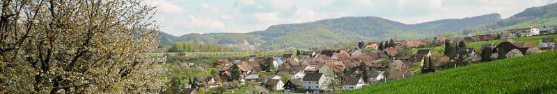 Panoramic view of a picturesque village nestled in a valley surrounded by rolling hills and mountains. The village has a mix of traditional and modern buildings with red tile roofs. There are blooming trees in the foreground, indicating it is springtime.