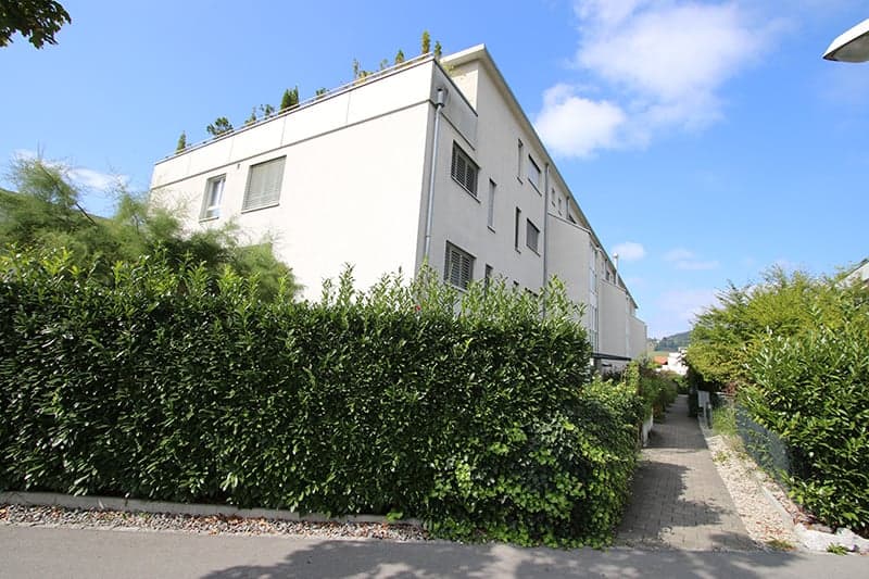 modern design, white exterior, surrounded by hedges, multiple windows, flat roof