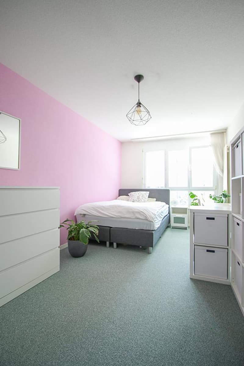 Double bed, gray frame, pink wall, gray carpet, bedsheet, nightstand, lamp, storage boxes, cabinet, potted plant, and mirror