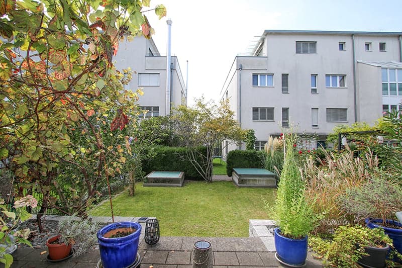 backyard of a house with a lawn and multiple plants and trees