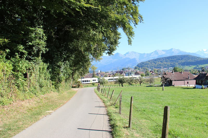 Umgebung: Spaziergang im Grünen am Riedernweg
