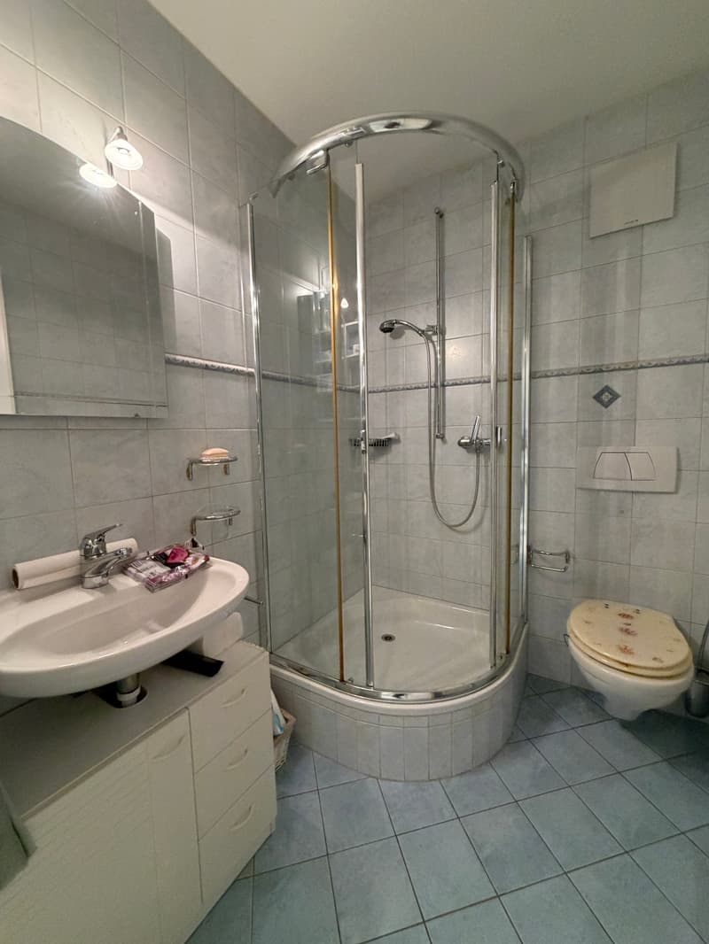 Modern bathroom with a shower stall, sink, mirror, and toilet