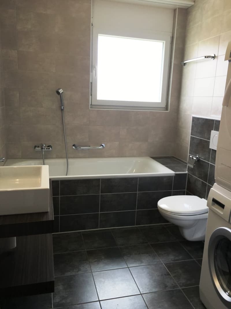 Bathroom with bathtub, sink, toilet, washing machine, window
