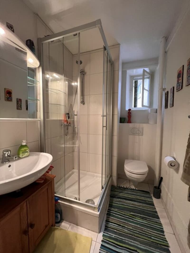 Appartement de ville de 3 pièces confortable (3)