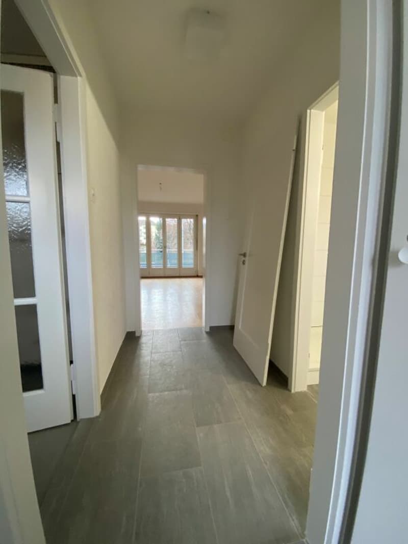 Weissenbühlquartier - central and beautiful living (5)