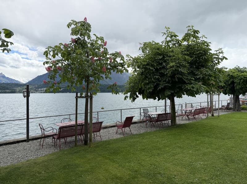 Vita con vista sul lago! (10)