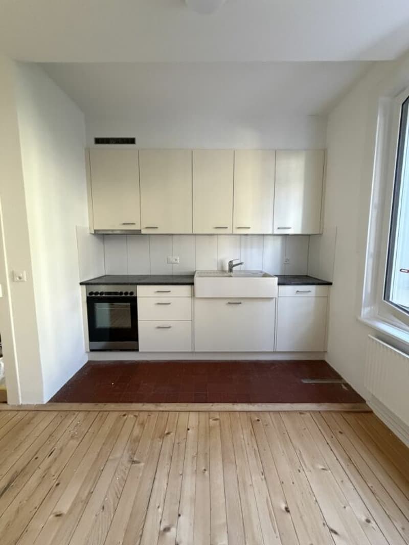 Renovated old building in Breitsch! (2)