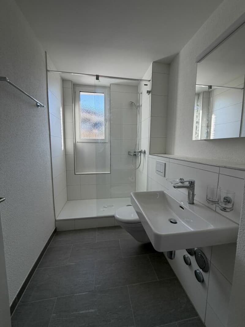 Renovated old building in Breitsch! (7)