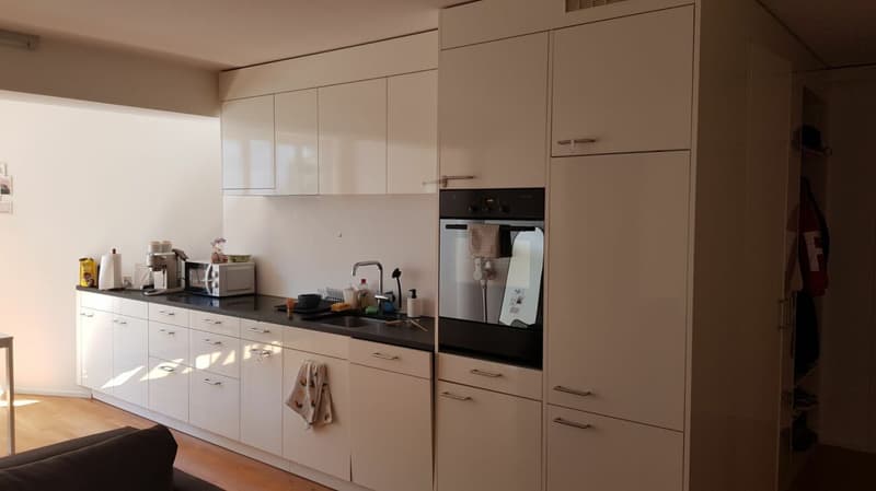 2-Room Apartment for Rent in Haus zur Drachenmühle (5)