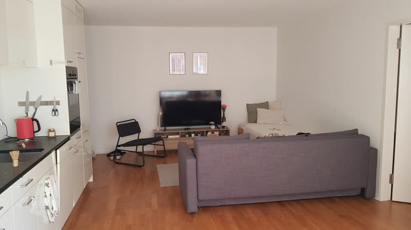 2-Room Apartment for Rent in Haus zur Drachenmühle (4)