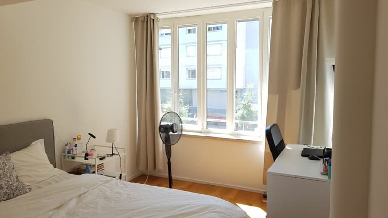 2-Room Apartment for Rent in Haus zur Drachenmühle (9)