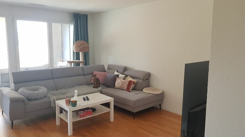Sommerrain Plus - Oasi di benessere nel verde! (4)