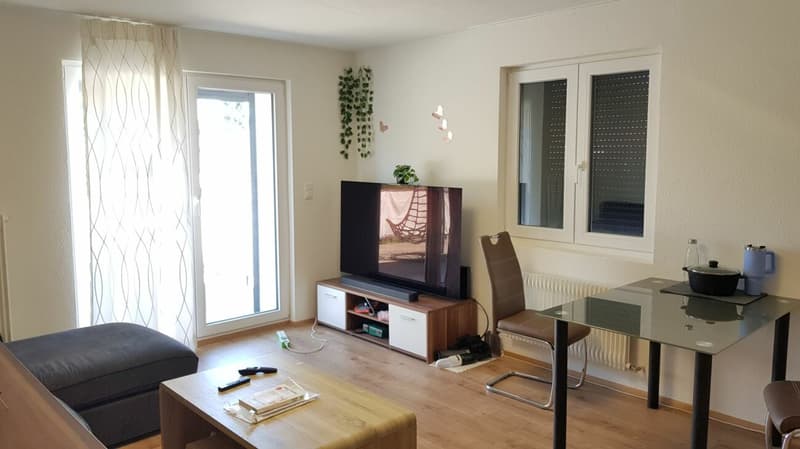 Appartement 3.5 pièces à louer en centre-ville (2)