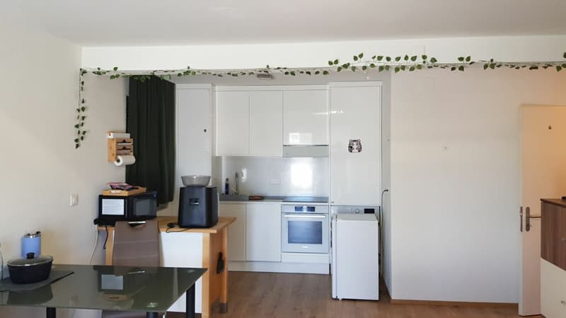 Appartement 3.5 pièces à louer en centre-ville (3)