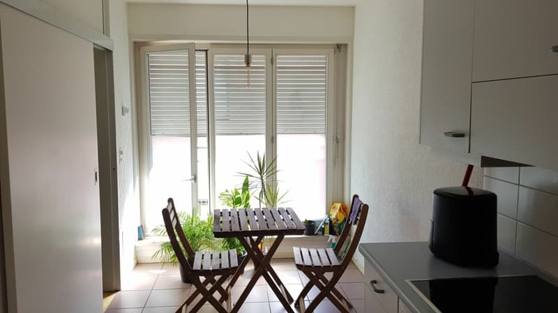 Appartamento 2.5 locali in affitto nella casa zur Drachenmühle (3)