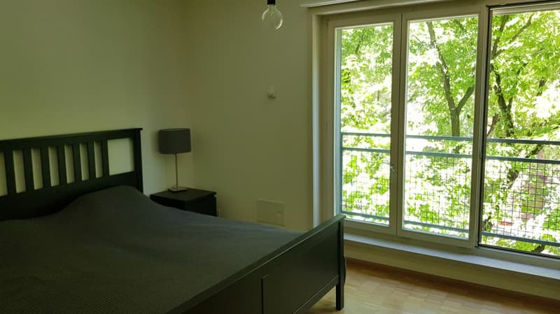 Appartamento 2.5 locali in affitto nella casa zur Drachenmühle (6)