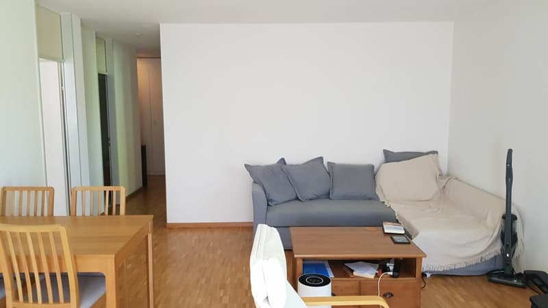 Appartamento 2.5 locali in affitto nella casa zur Drachenmühle (8)