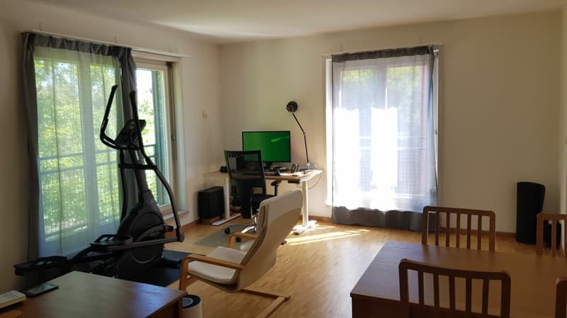 Appartamento 2.5 locali in affitto nella casa zur Drachenmühle (7)