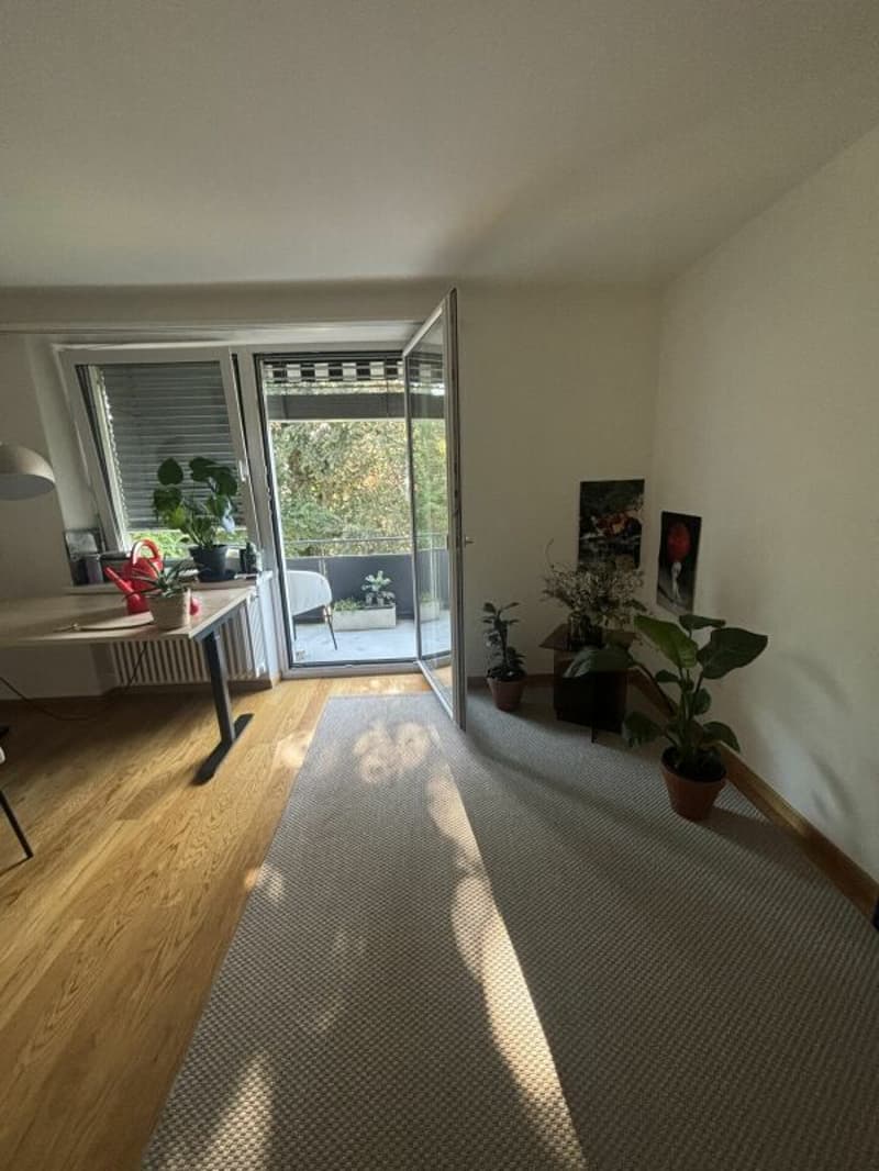 Weinsteig 61, 8200 Schaffhausen (5)