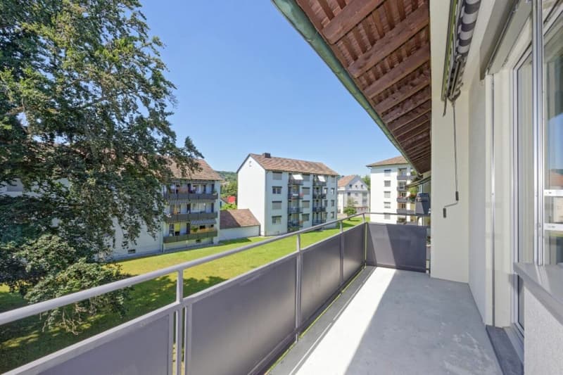 Weinsteig 61, 8200 Schaffhausen (8)