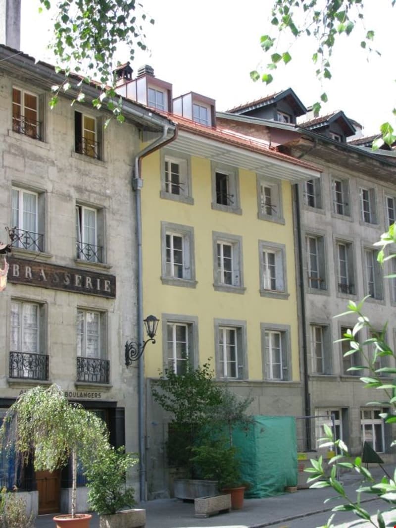 Charmante 1.5-Zimmer-Wohnung in der Altstadt von Freiburg (1)