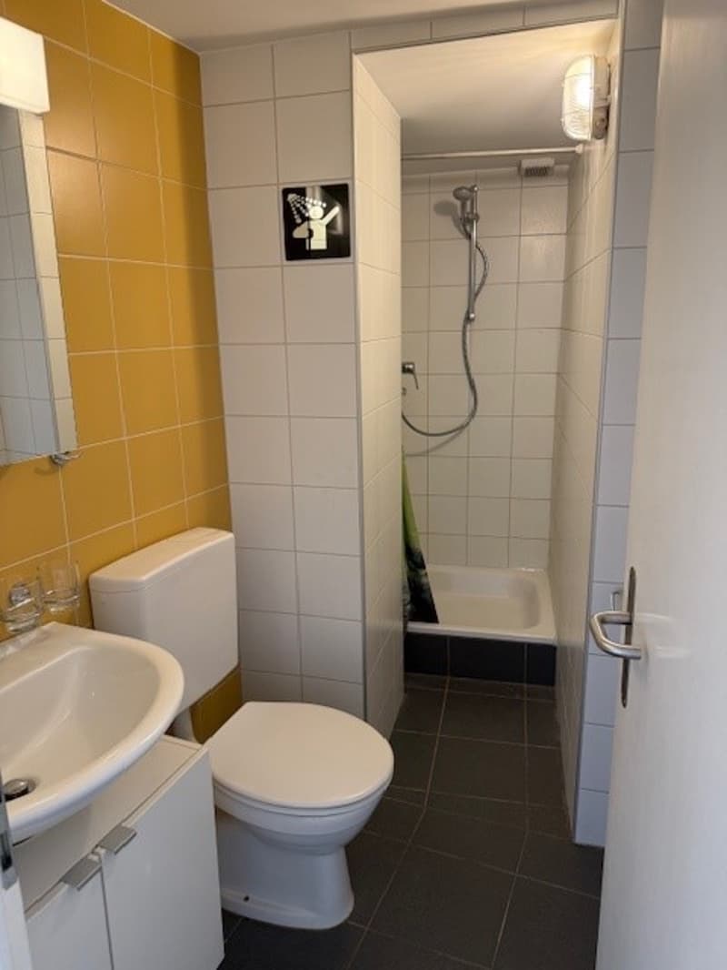 Charmante 1.5-Zimmer-Wohnung in der Altstadt von Freiburg (4)