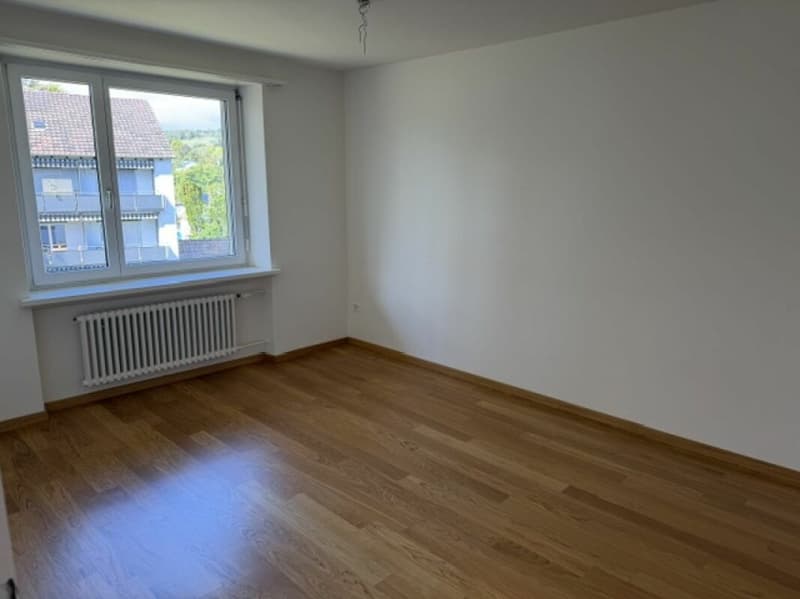 Weinsteig 61, 8200 Schaffhausen (6)