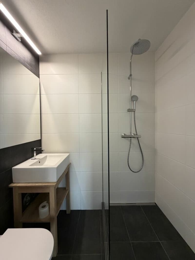 3.5-Zimmer-Wohnung an zentraler Lage zu vermieten (5)