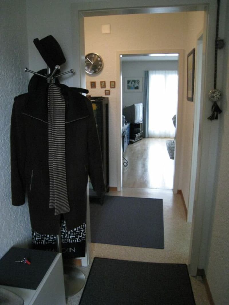 Geräumige Wohnung im Weissenbühlquartier! (4)