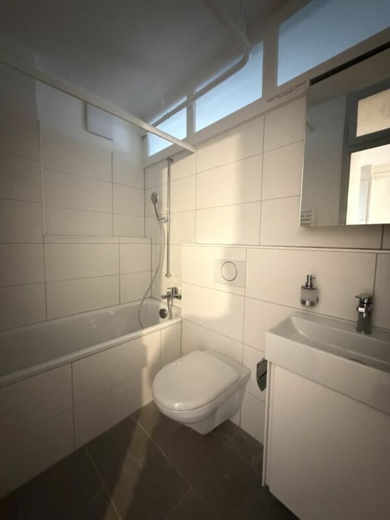 Sanierte Altbauwohnung im Herzen von Bern (9)