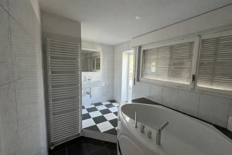 Appartement spacieux 6.5 pièces en attique avec trois terrasses (16)