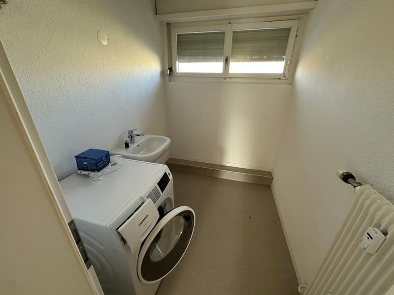 laundry room with washing machine, sink, and radiator