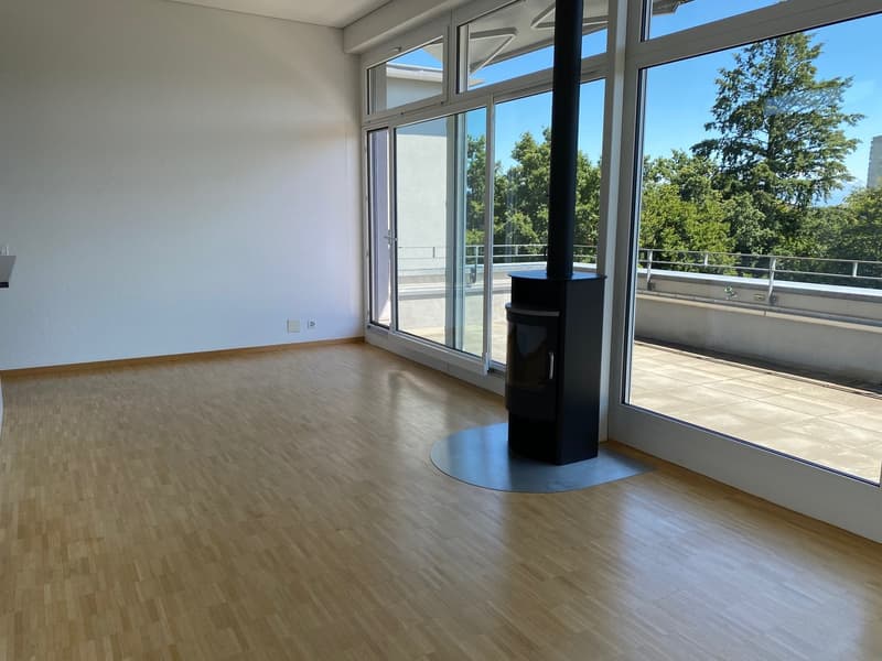Elegant 4.5-room attic apartment (2)