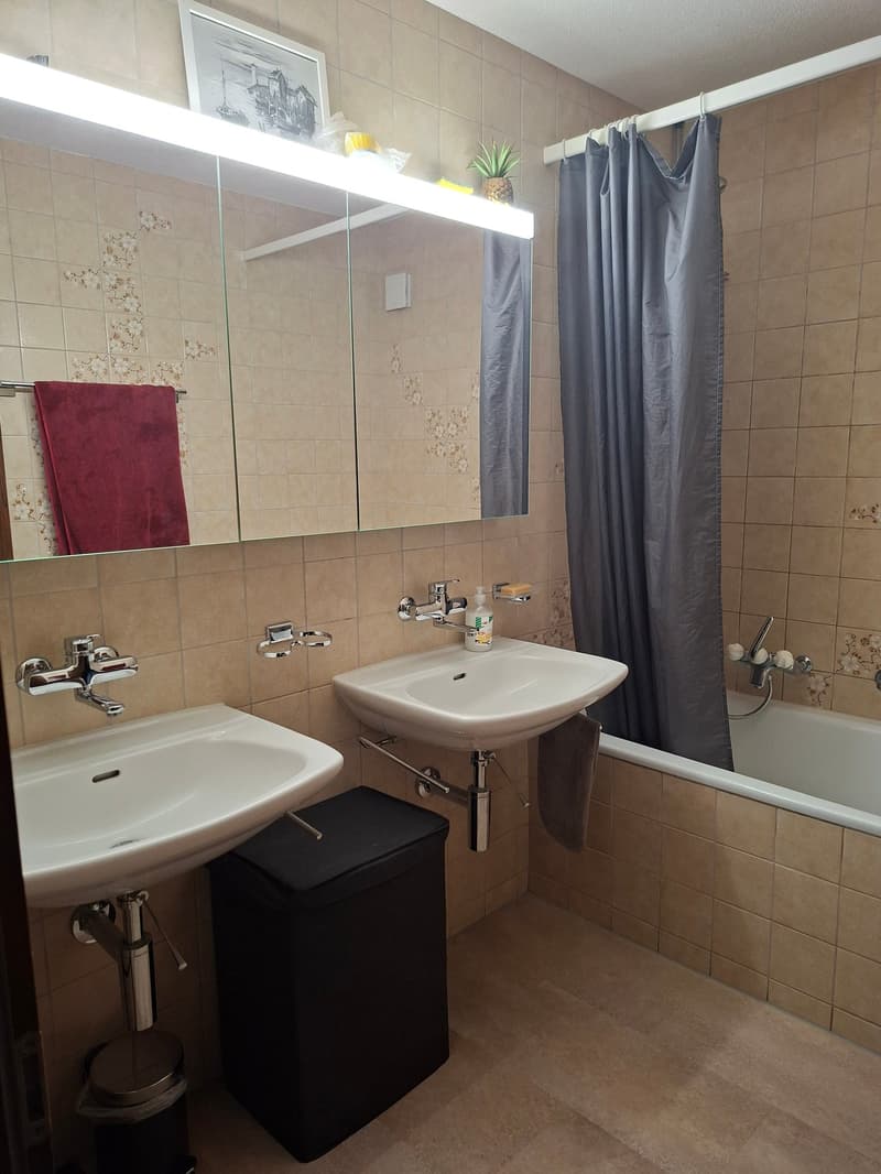 Ampio appartamento di 4.5 locali in una zona tranquilla (8)